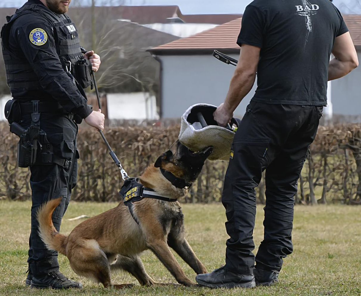 Locuitori din Sibiu cer închiderea centrului care dresează câini pentru Poliție, Jandarmerie, SRI și SPP. Proces pentru zgomotul produs noaptea de animale