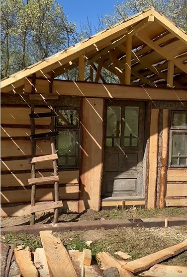 Cum arată cabana din pădure a Mihaelei Bilic după ce i-a pus acoperișul. Și-a amenajat și curtea, unde are hamac