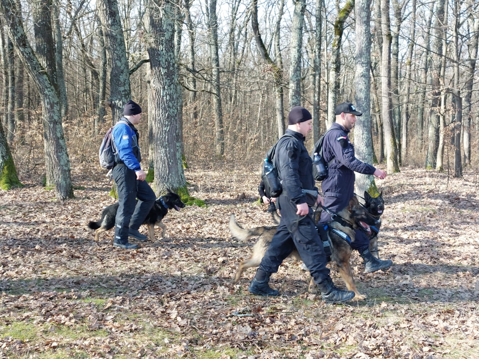Studentă din Sibiu, dispărută de aproape o lună, căutată cu drone și peste 350 de oameni. Ce știu autoritățile
