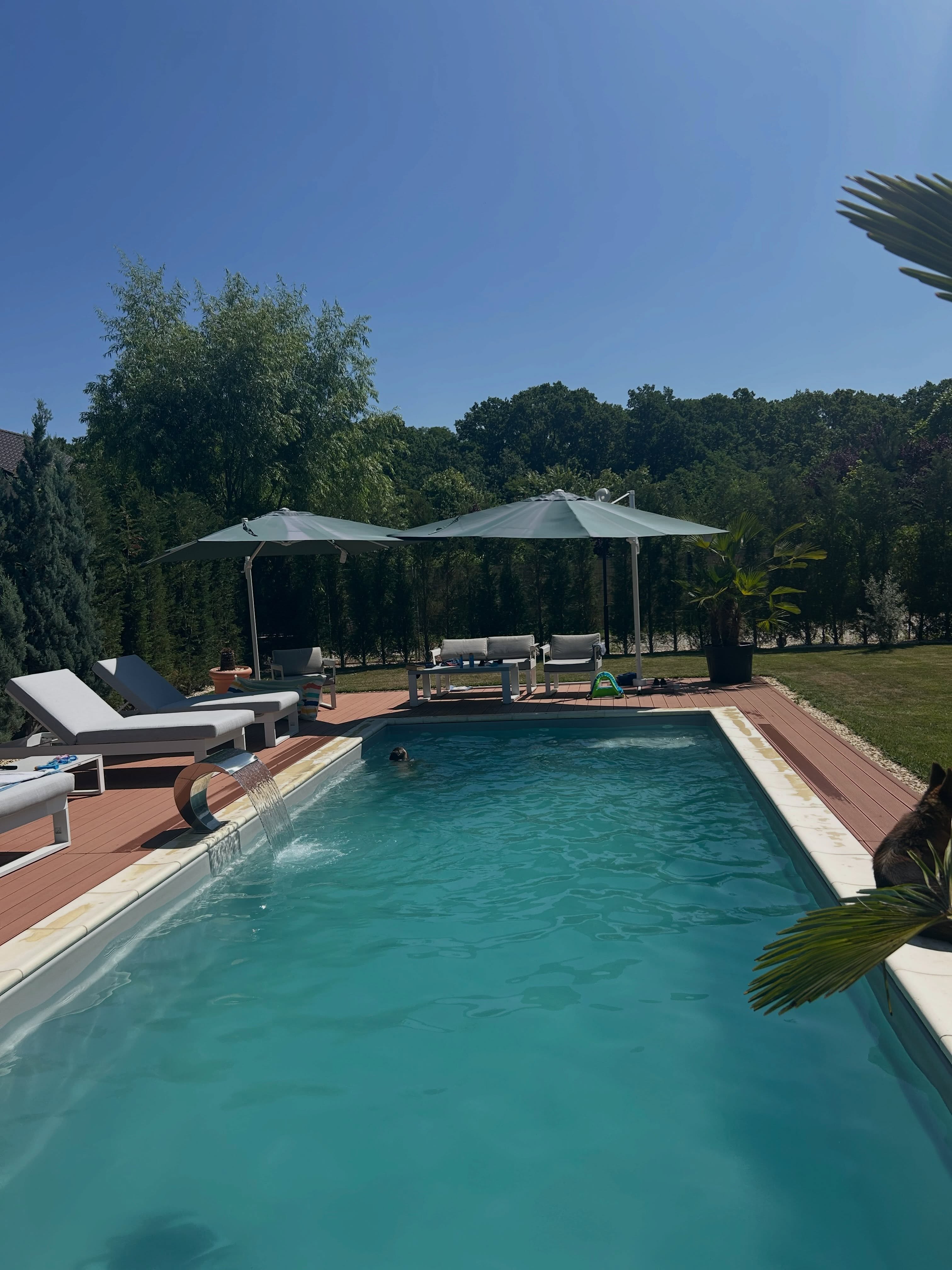 Imagini din curtea Mirelei Vaida. Cum arată piscina de 30.000 de euro: „Mi s-a părut un preț corect”