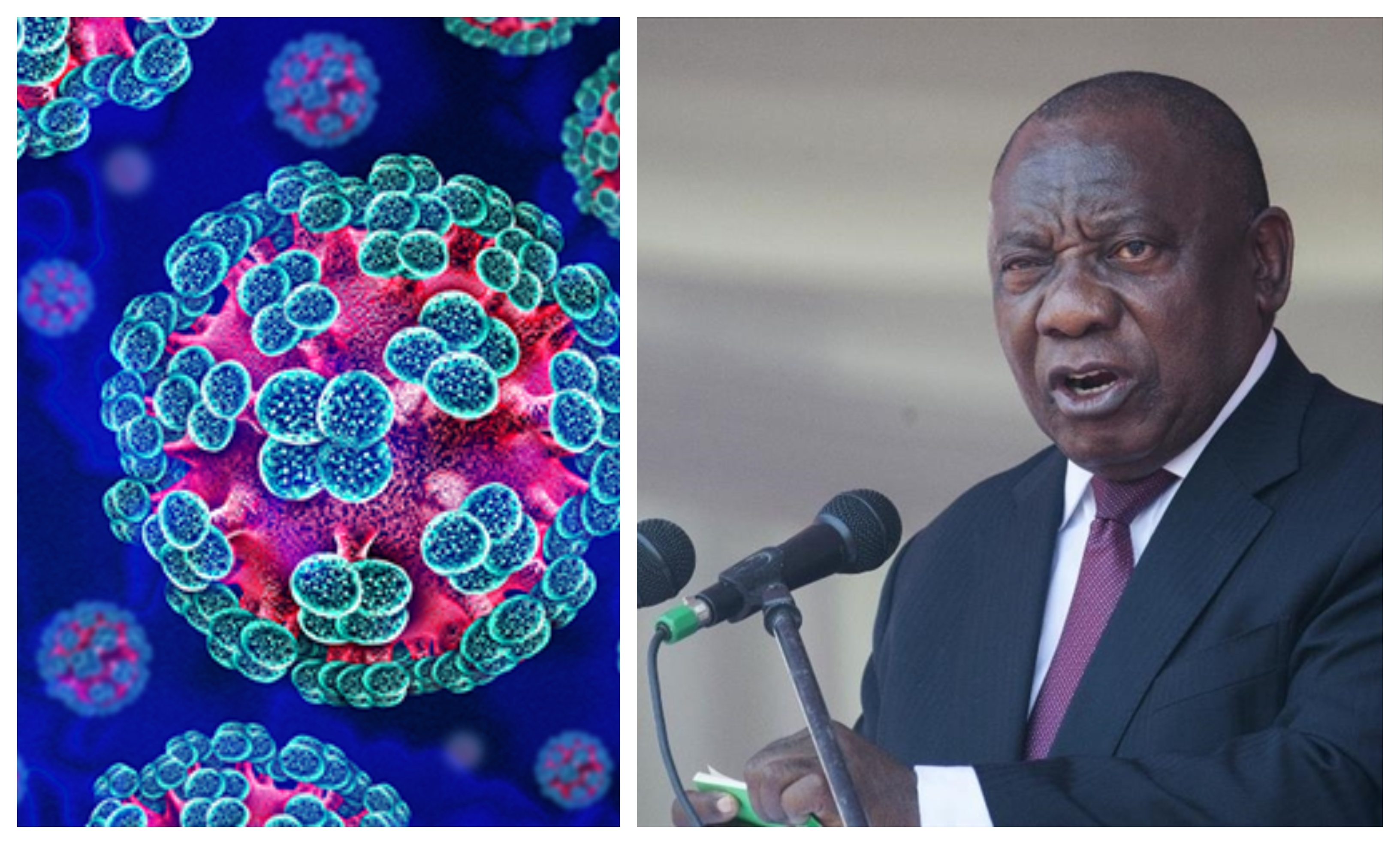 South Africa secures Europe-backed $90 million deal to build Africa’s first full vaccine plant amid hantavirus outbreak fears