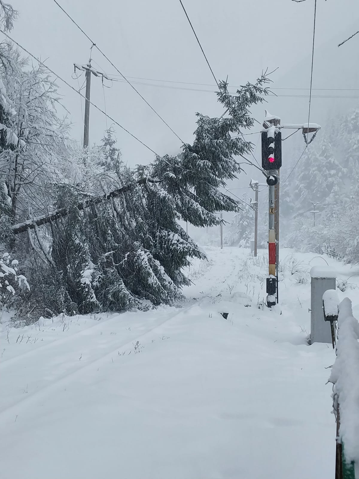 Drumuri acoperite cu zăpadă în 13 județe. Unde a nins peste noapte