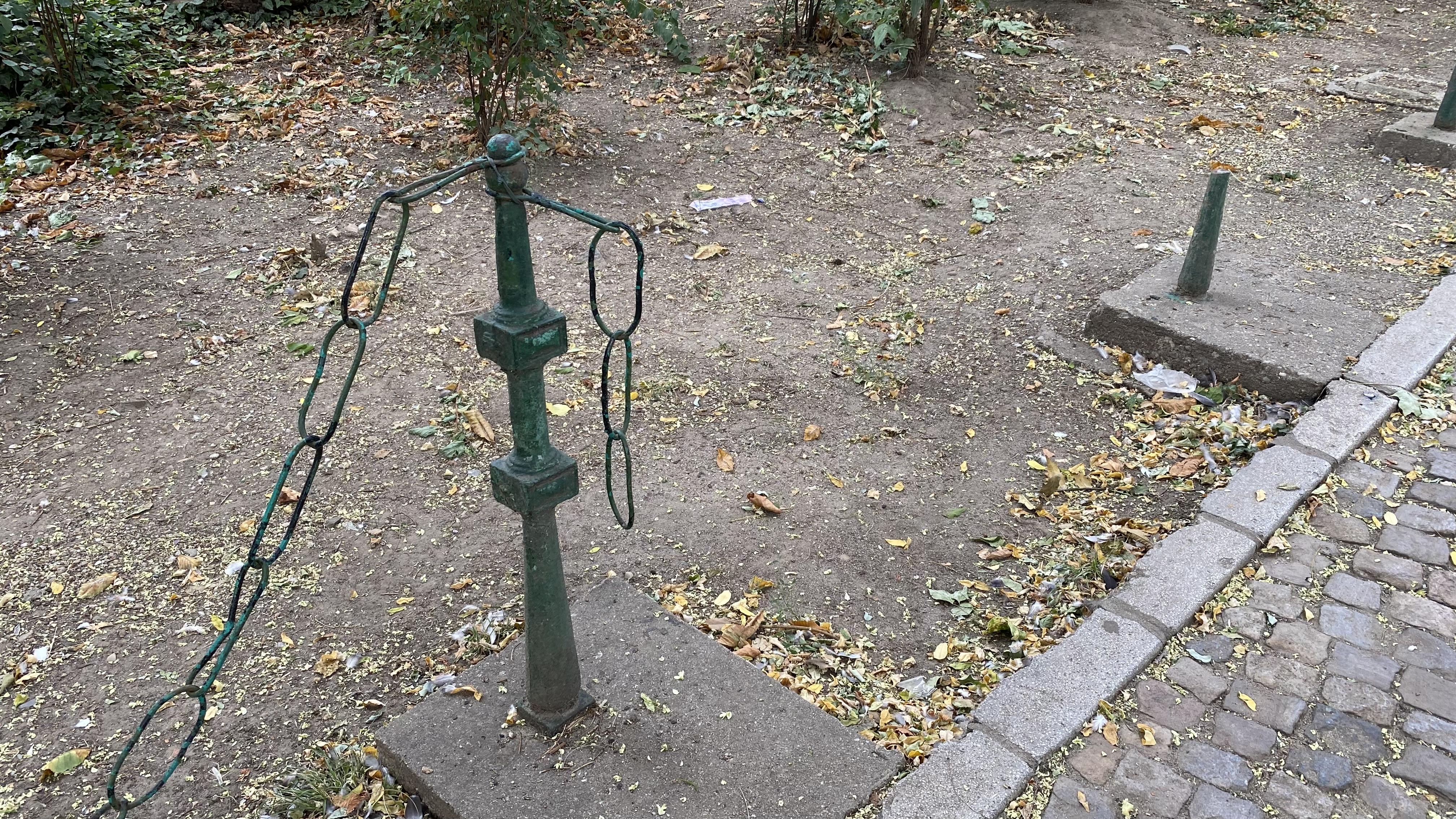 Cișmigiu, mândria tristă a Bucureștiului: pământ în loc de iarbă, alei distruse, garduri rupte și mirosuri insuportabile