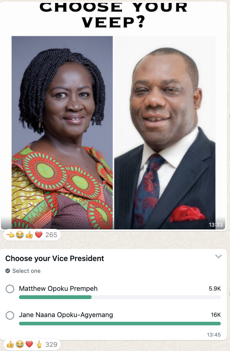 Ghanaians prefer Jane Naana as vice president over Napo in Pulse Ghana polls