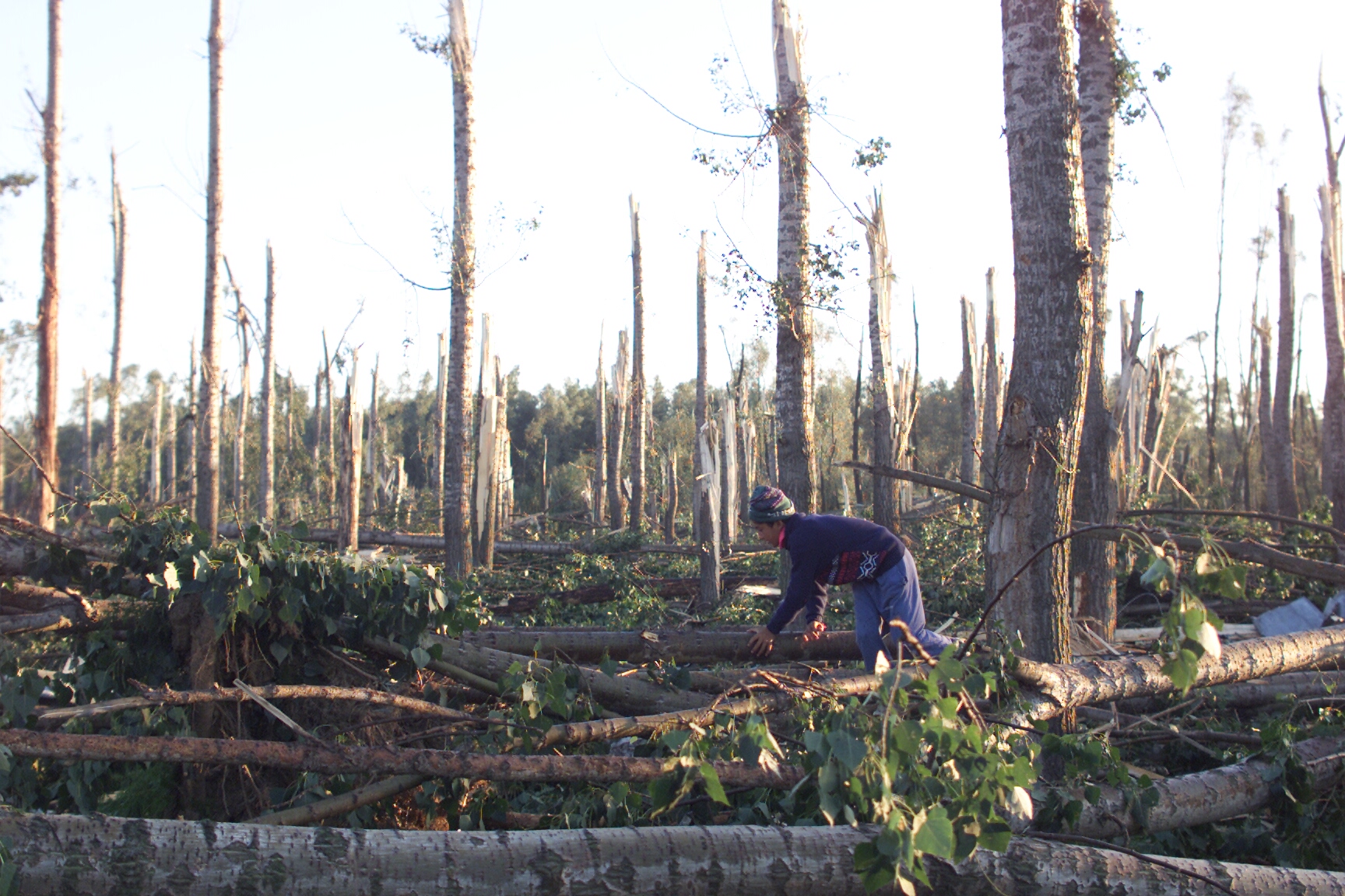 Tornadă în Ialomița. Comuna Făcăeni, distrusă de a doua vijelie în 15 ani