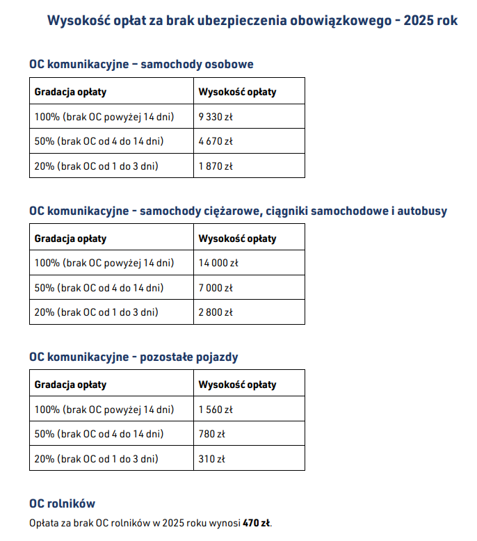 Nowe przepisy za przekroczenie prędkości: więzienie, wysokie mandaty i dożywotni zakaz jazdy w 2025 roku