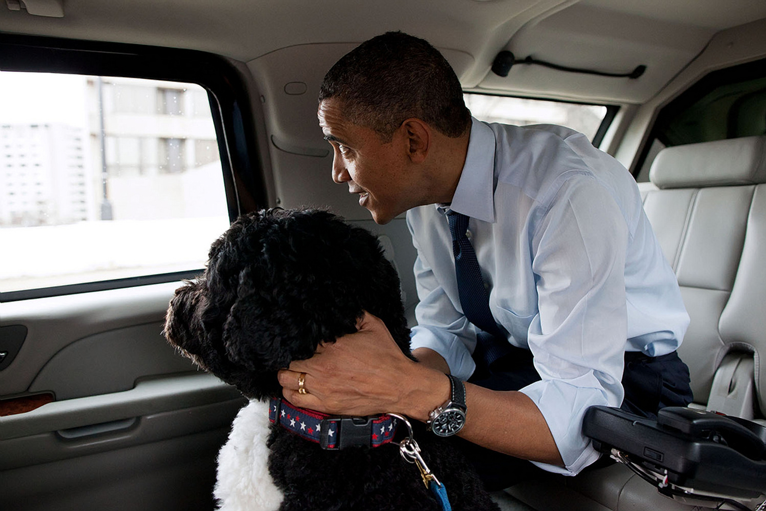 Bo, unul dintre câinii familiei Obama, a murit. Barack Obama: „Ne va fi tare dor de el”