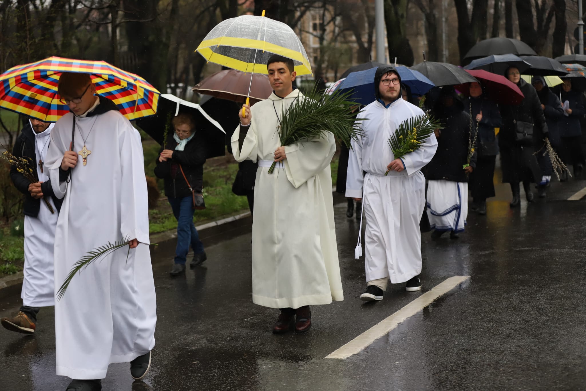 Floriile Catolice 2026: Cum sărbătoresc șvabii și maghiarii Virágvasárnap în marile orașe din Ardeal