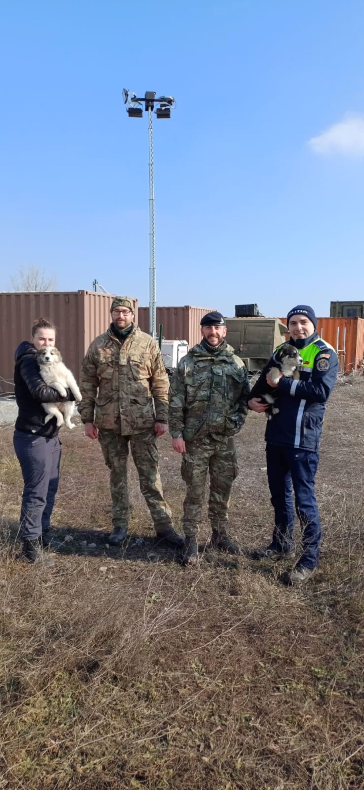 În Galați, un soldat britanic a salvat patru căței aflați în zona tragerilor. „Fiecare viață contează”