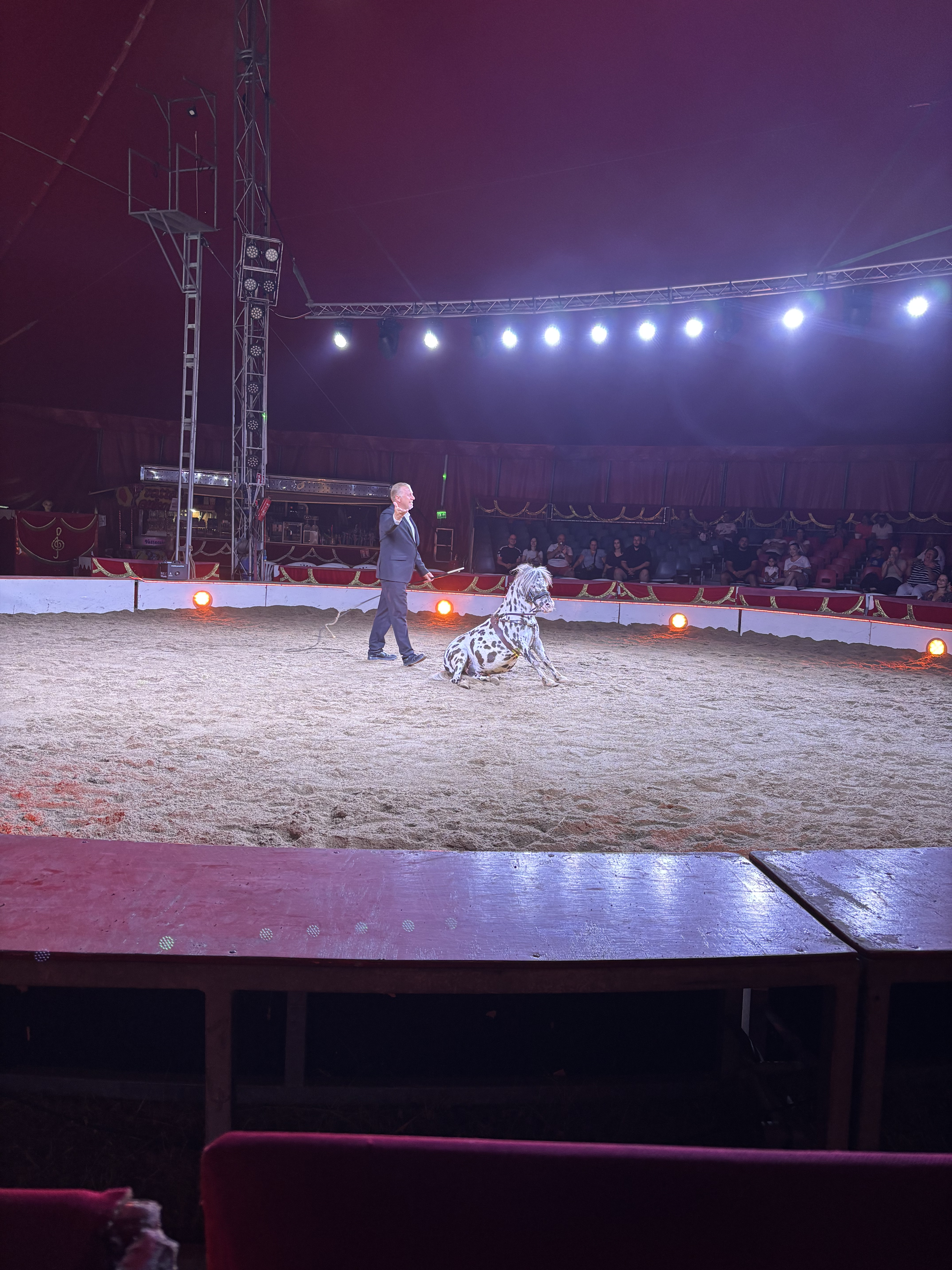 Din nou la Circ. Râzi cu Clovnul, te amuzi cu cai și papagali. Ți se taie răsuflarea cu acrobați. Nimic nu se compară cu Globul Morții