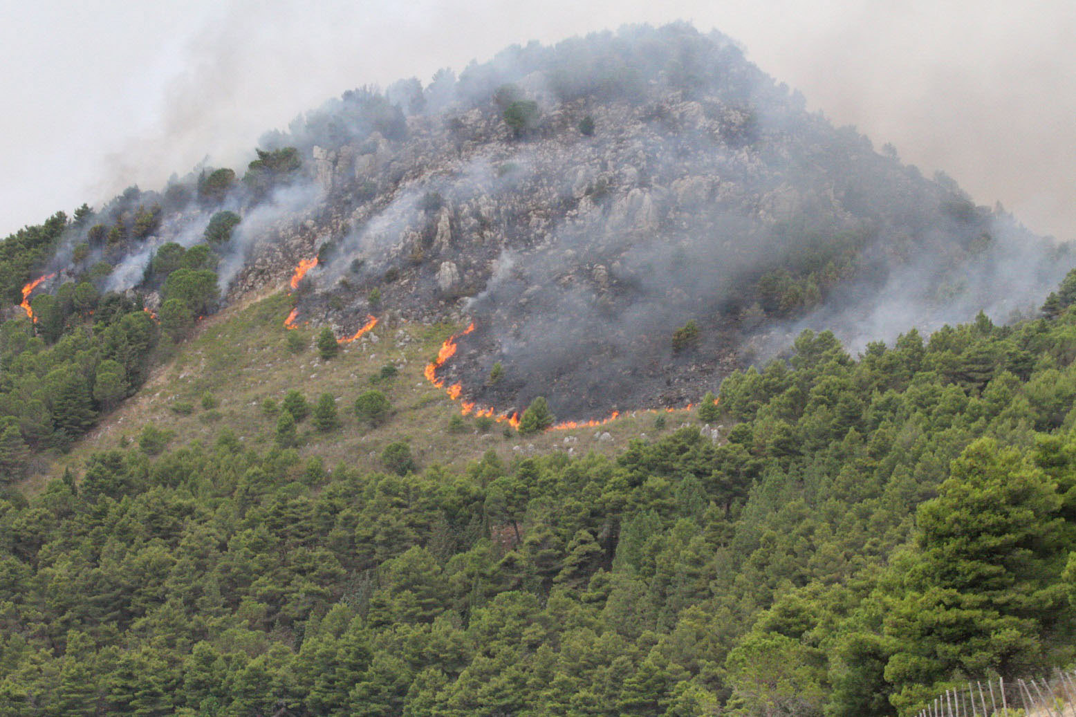 Cursele aeriene din Sicilia, perturbate din cauza incendiilor. Anunțul MAE pentru românii care au zboruri programate