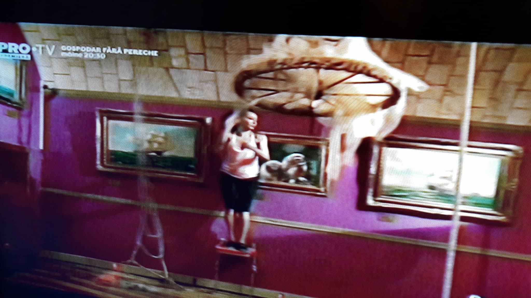 Mihaela Rădulescu, supusă la probe de coșmar la Fort Boyard. "Am aflat că sunt arestată la domiciliu" / FOTO