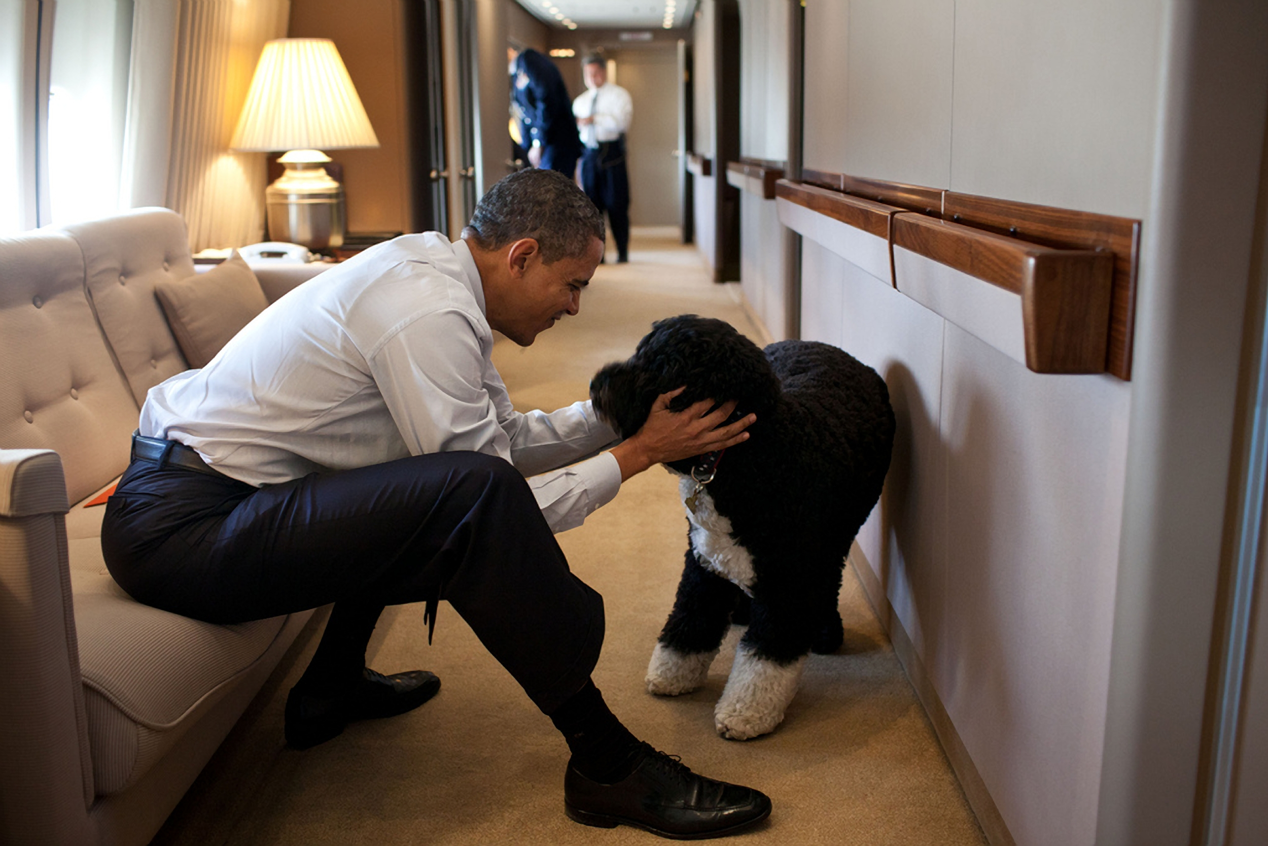 Bo, unul dintre câinii familiei Obama, a murit. Barack Obama: „Ne va fi tare dor de el”