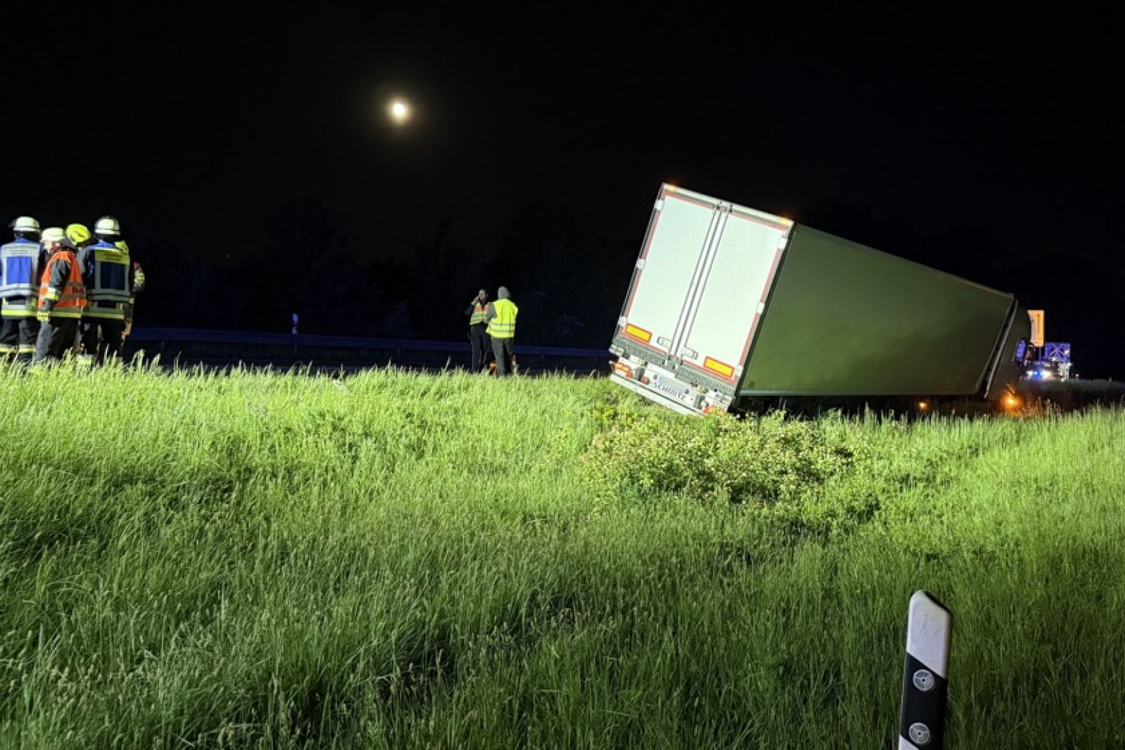Șofer român de TIR scos de pe șosea de o turmă de căprioare, în Germania