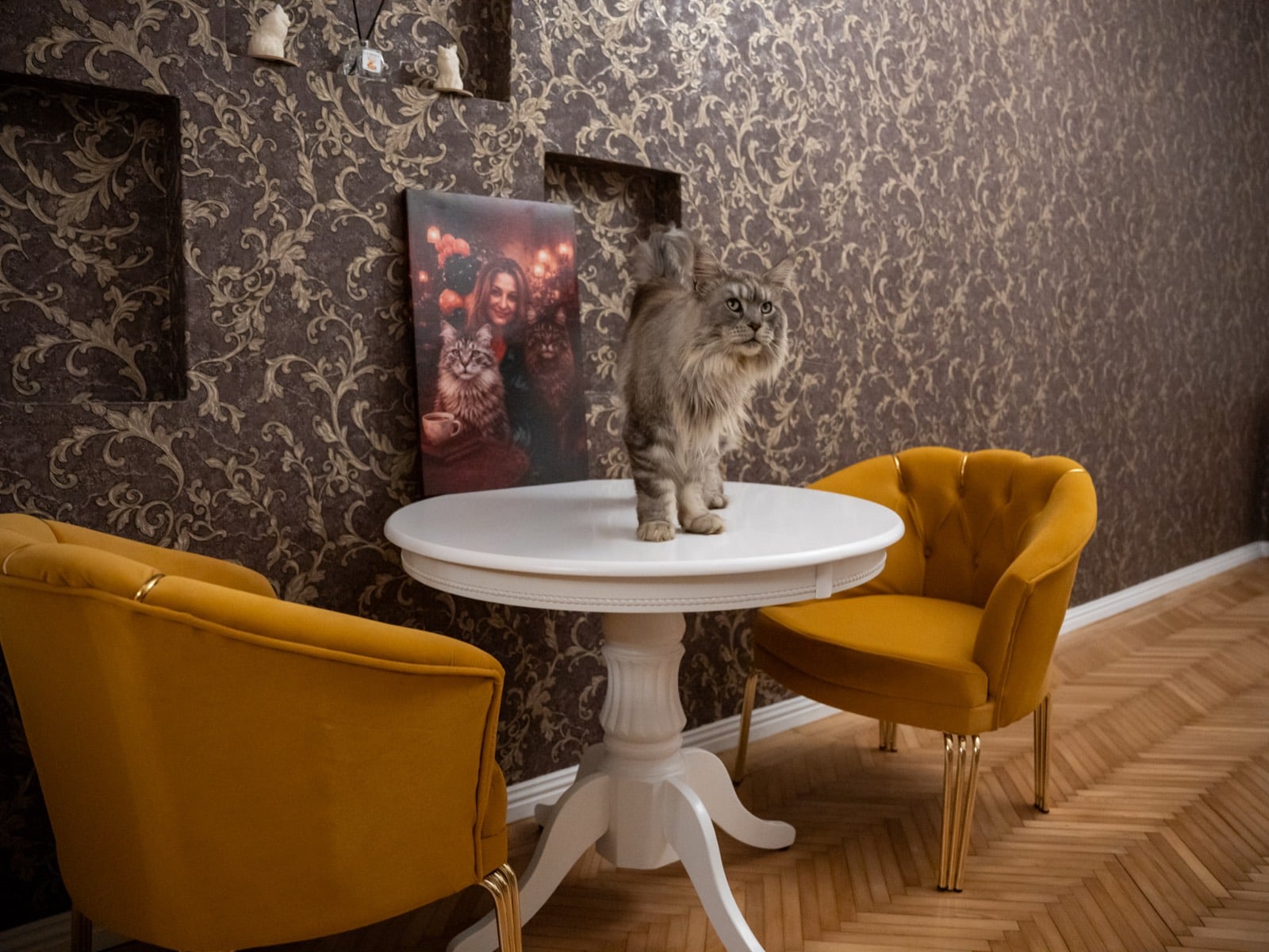 Prima cafenea cu pisici Maine Coon din România se deschide în București. Unde se află locația, prețurile din meniu și regulile casei