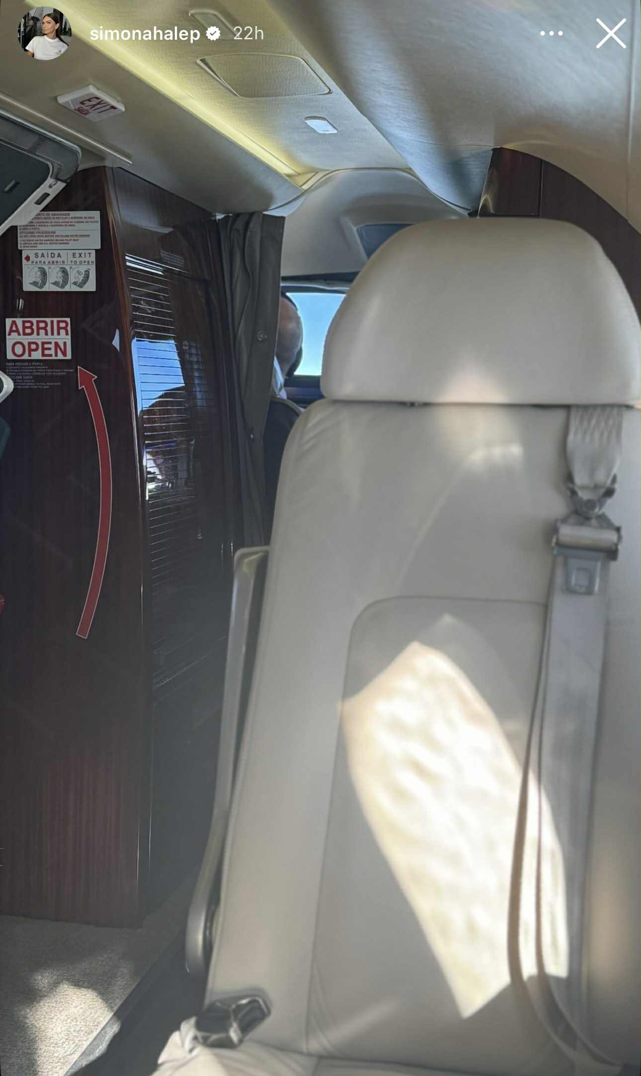 Cât costă geanta albastră Hermes purtată de Simona Halep la Formula 1 din Ungaria. A călătorit acolo cu avionul privat