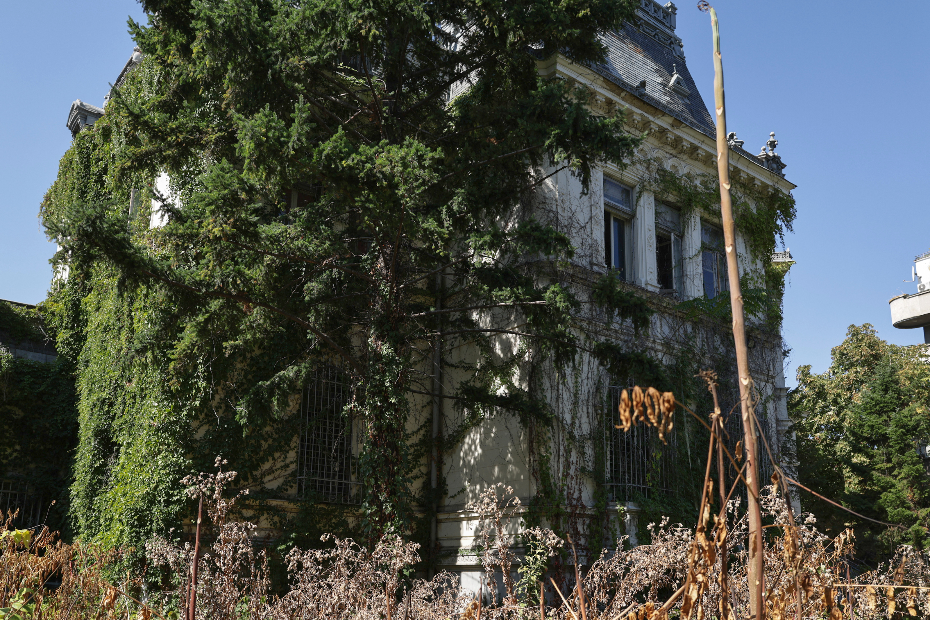 Palatul Maurice Blank