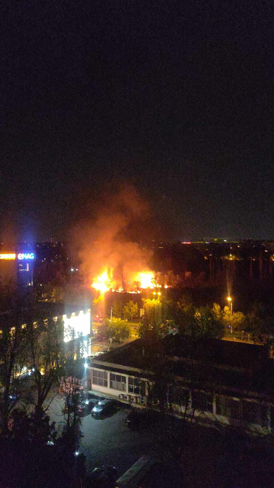 Incendiu puternic în Parcul IOR din București. Au ars 4.000 de metri pătrați de vegetație