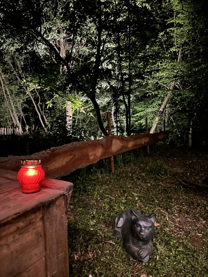 Cum arată cabana din pădure a Mihaelei Bilic după ce i-a pus acoperișul. Și-a amenajat și curtea, unde are hamac