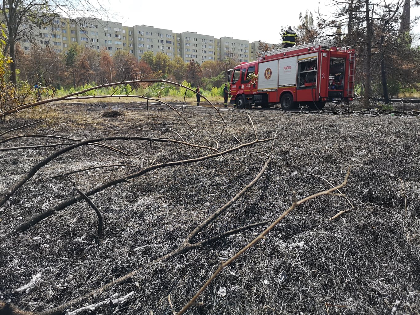 Incendiu de vegetaţie în parcul IOR din Bucureşti. Pompierii intervin cu trei autospeciale