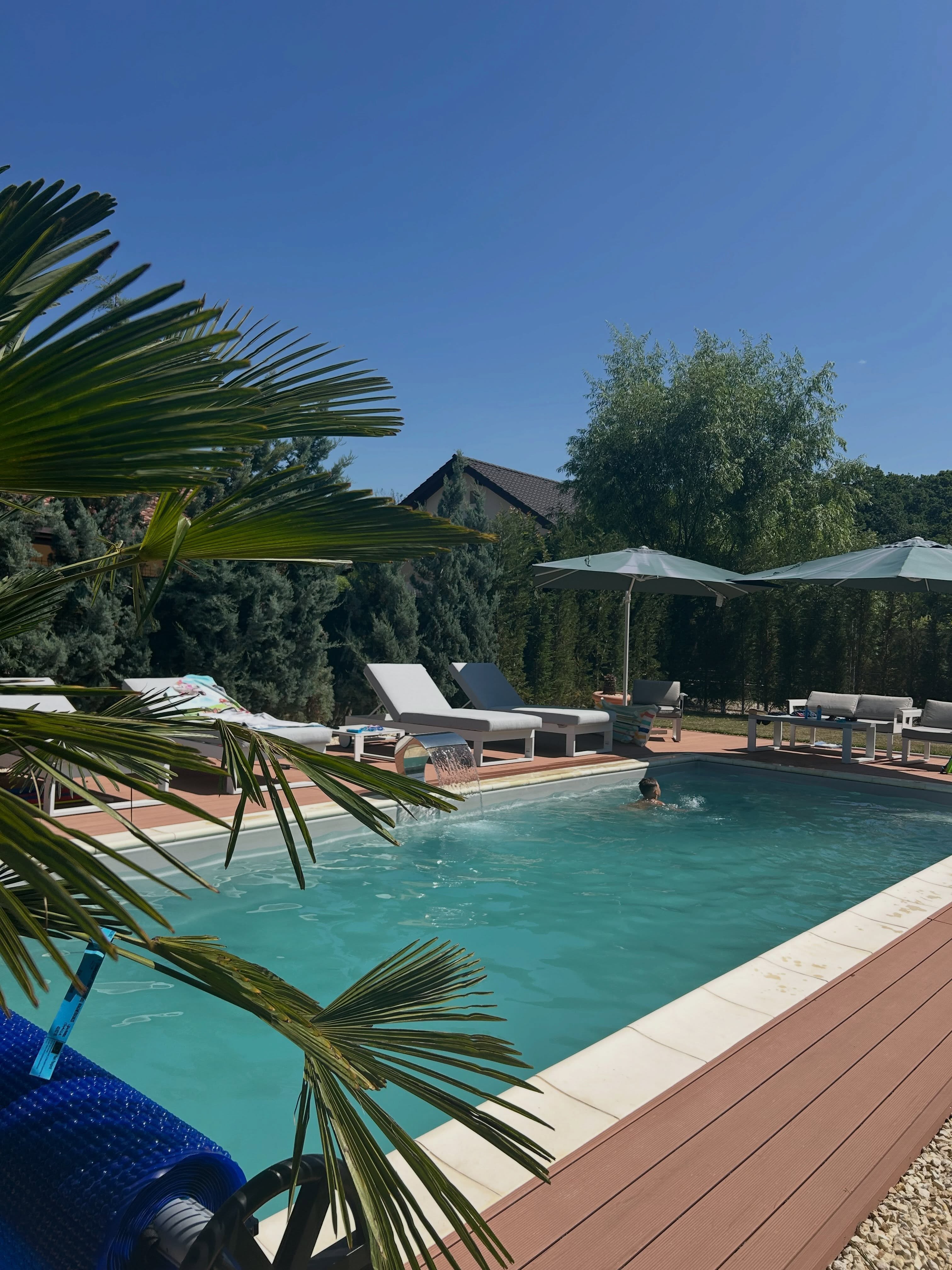 Imagini din curtea Mirelei Vaida. Cum arată piscina de 30.000 de euro: „Mi s-a părut un preț corect”