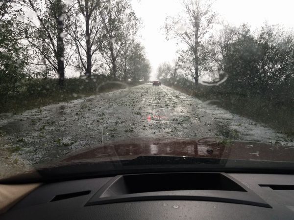 Furtună în mai multe județe din Transilvania. A plouat cu grindină, iar vântul a doborât zeci de copaci