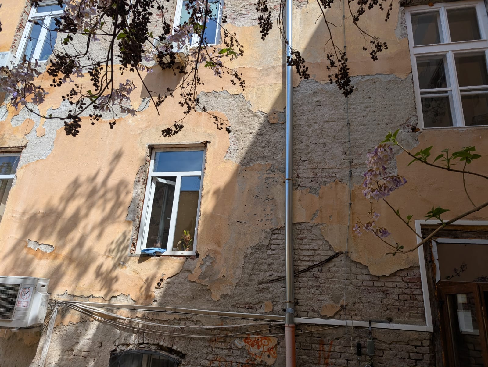 Așa arată România educată. Imagini dezolante într-un liceu din Timișoara. Elevi înghesuiți la subsol, în clase pline de igrasie și mucegai.  „Venim cu măști de protecție ca pe timpul pandemiei de Covid”