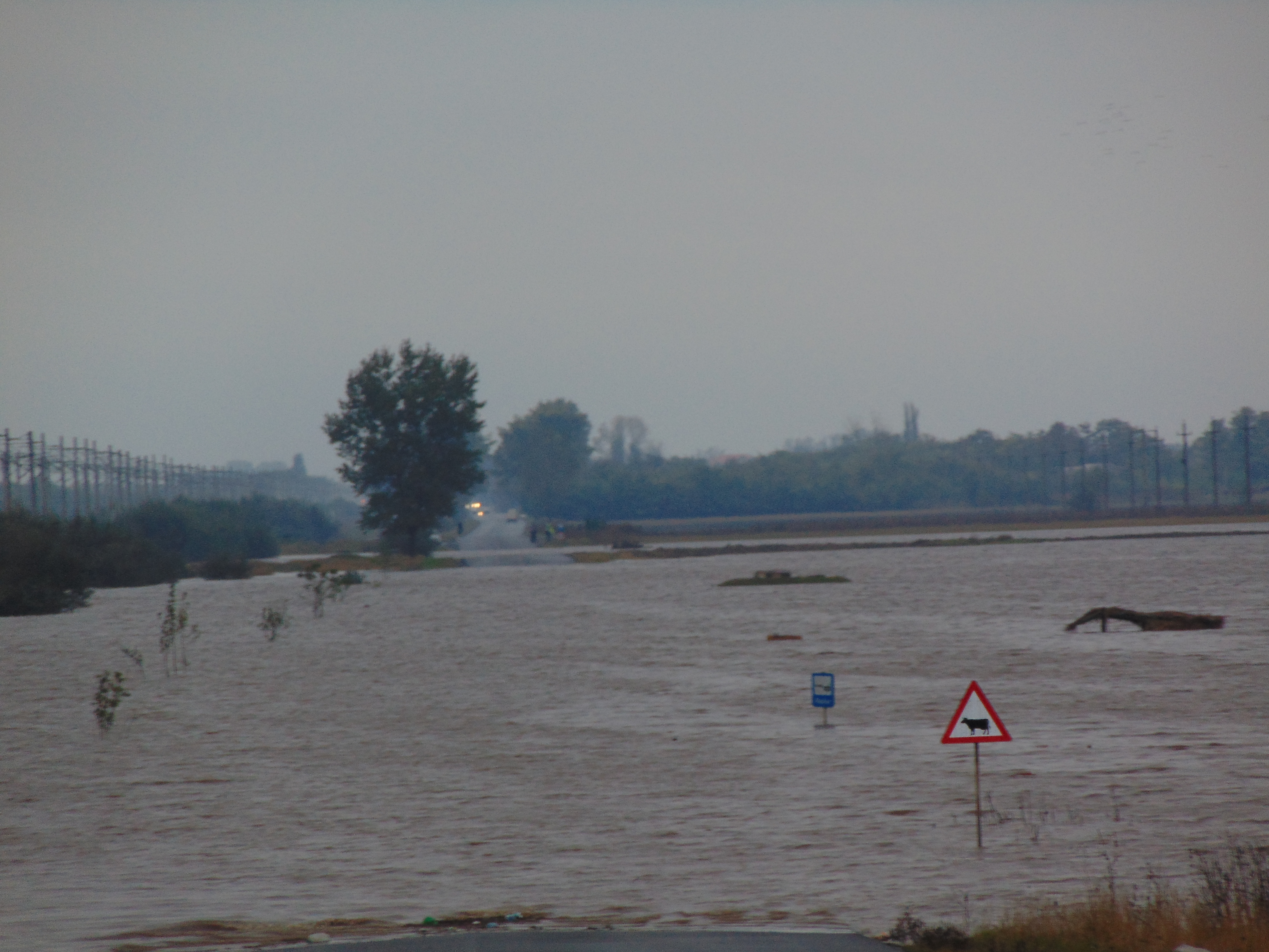 DN 25, transformat într-o mare de apă din cauza puhoaielor, a fost redeschis