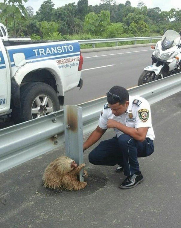Leneșul salvat de un polițist face furori pe Internet