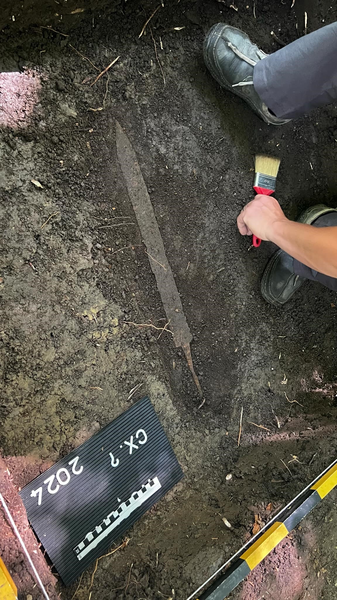 Două inele medievale, găsite în Mureș, la baza unui copac. Detectoristul care le-a descoperit: „Se cunosc în jur de 10 astfel de piese în lume”