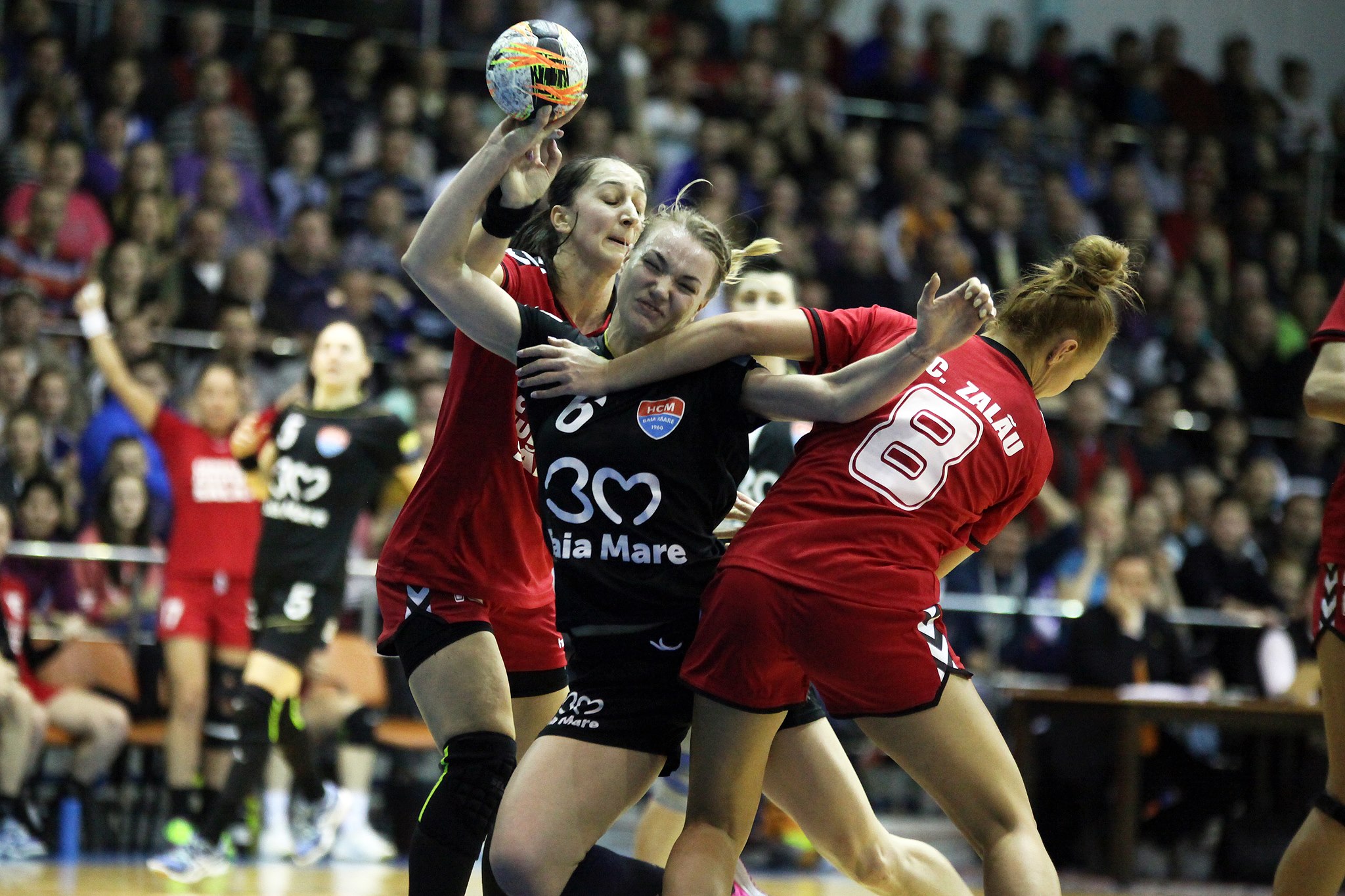 Scandal uriaș la meciul de handbal la Zalău - HCM Baia Mare: ^“Să înjuri ca în codru şi să fii rasist, asta înseamnă sa fii suporter al echipei din Zalău!”
