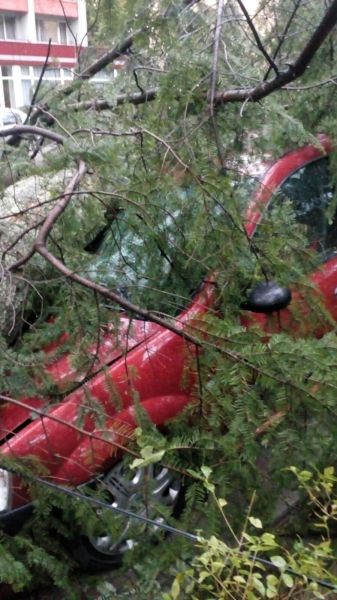Stațiunea Moneasa din Arad, distrusă de furtună. Prăpăd după vijelie