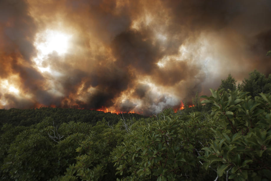Atena, sub amenințarea incendiilor. Premier: „Canicula a transformat țara într-un butoi cu pulbere”