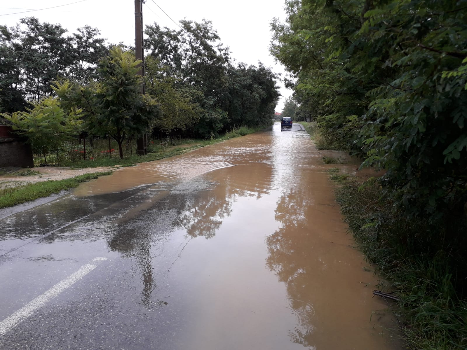 Mai multe gospodării din zona Făgărașului au fost inundate. Doi bolnavi au fost evacuați din case de către pompieri/ VIDEO&FOTO