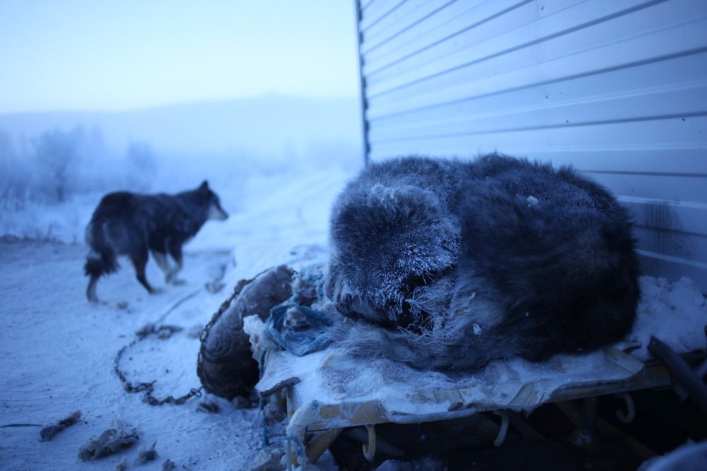 GALERIE FOTO/ Oymyakon, cel mai friguros loc de pe Pământ. S-au înregistrat temperaturi de minus 71,2 grade (VIDEO)
