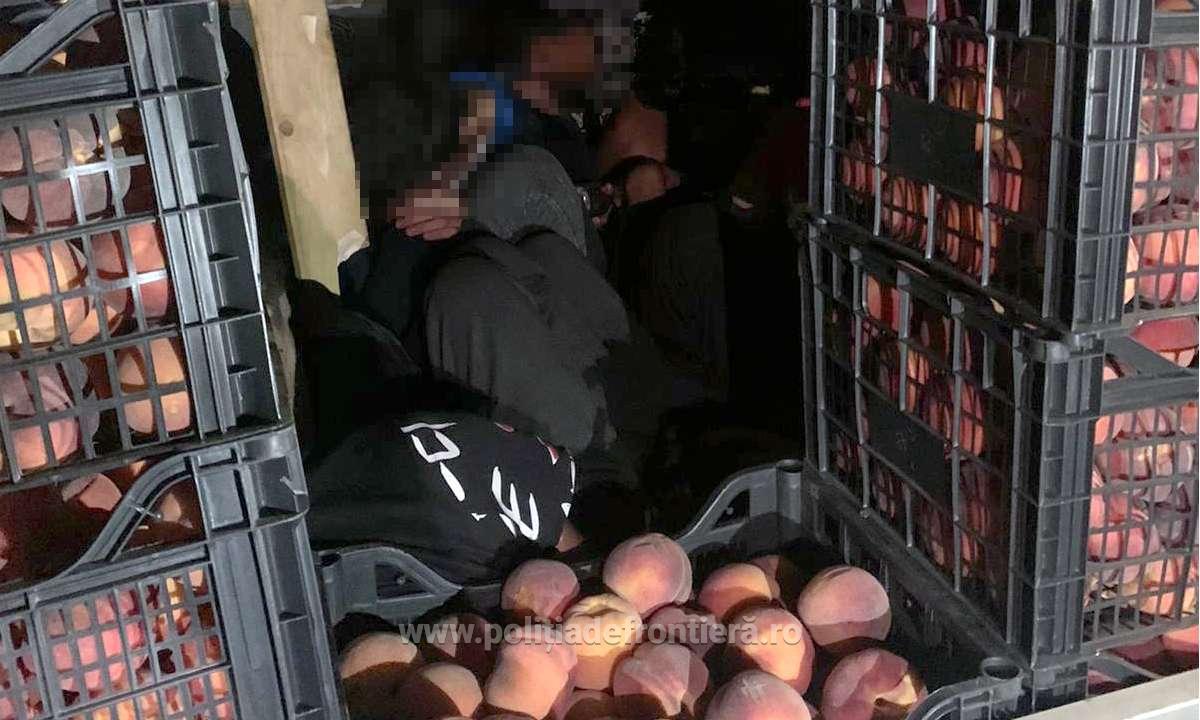 72 de migranți ascunși în TIR-uri, depistați în ultimele 24 de ore, la frontiera cu Ungaria. Erau pitiți printre saci cu fructe și alte bunuri