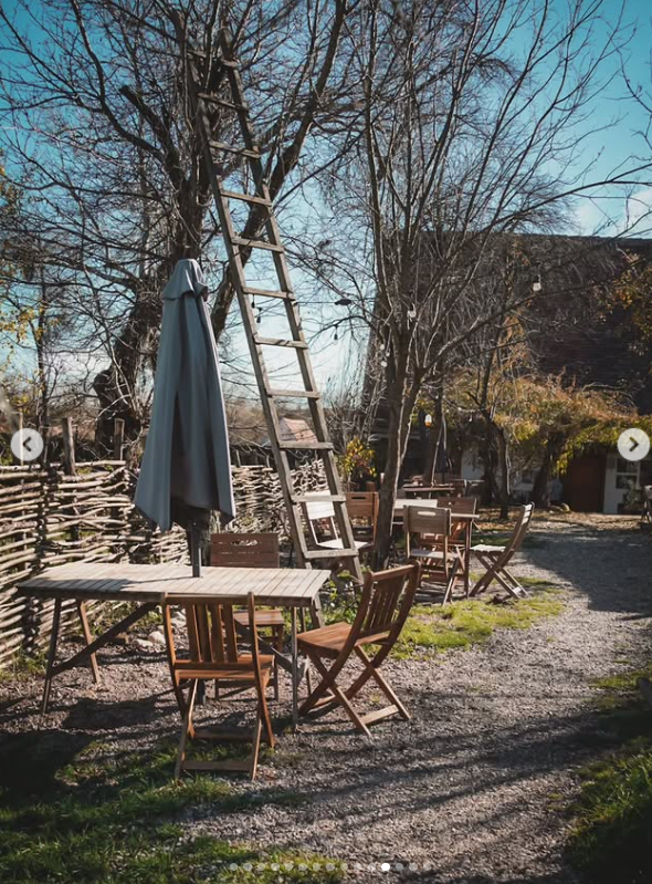 Cum arată curtea casei de la Viscri, pe care Dana Rogoz și soțul ei au restaurat-o. Imagini cu familia în vacanță. „Suntem într-un alt șantier”