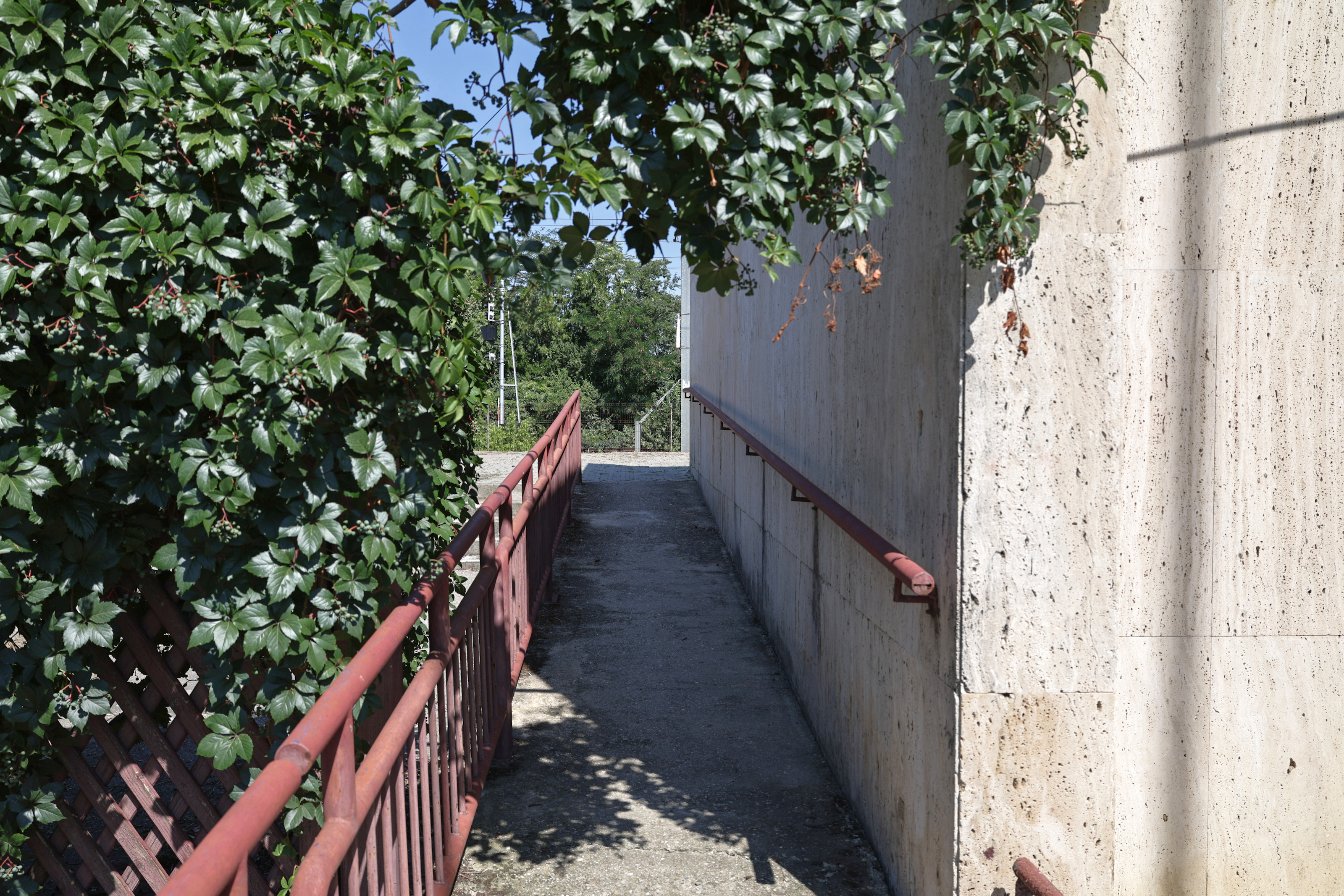 Între gloria regală și dezastrul de azi. Locul pe unde au trecut regii României a ajuns o haltă aproape pustie și distrusă de graffiti