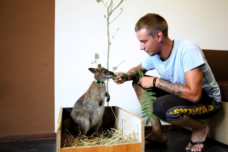 Un tânăr din Cluj crește un cangur ca animal de companie. Din Australia, Rin s-a adaptat în inima Transilvaniei