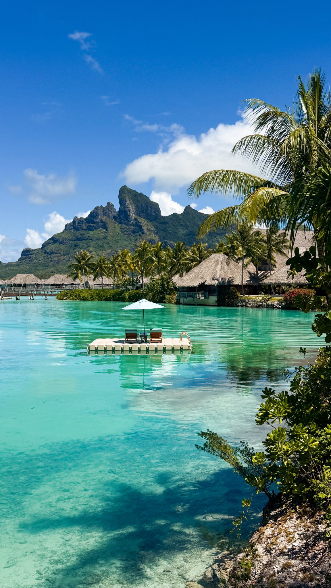 Imagini din vacanța Corinei Caragea în Bora Bora. Prezentatoarea de la Pro TV a apărut în costum de baie