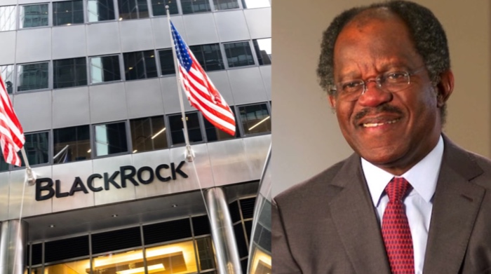 US-based Nigerian billionaire, Ogunlesi targets growth of $30 billion asset exposure in Africa’s largest economy
