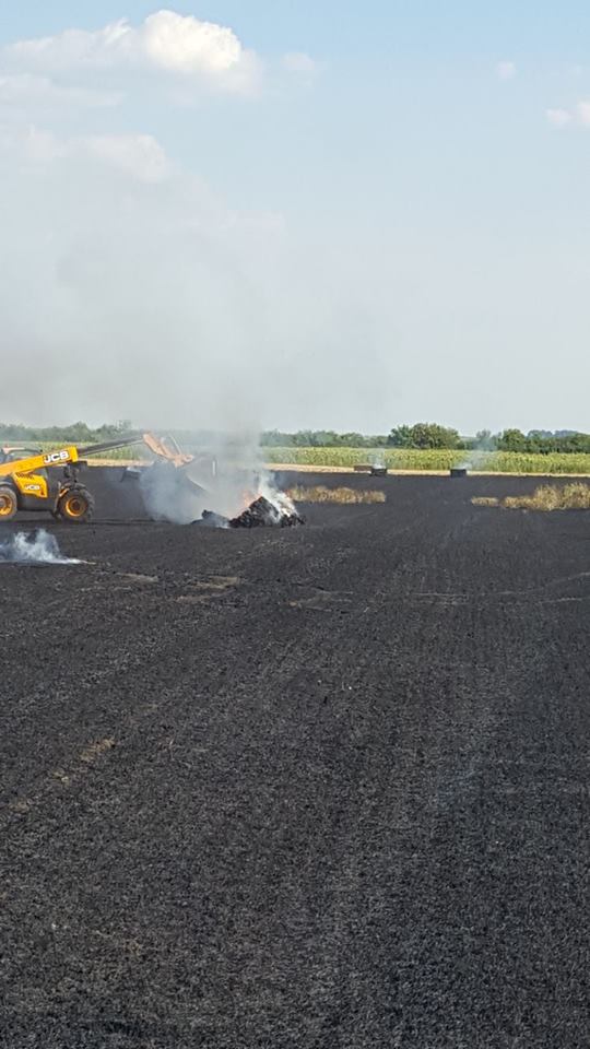 Incendiile de vegetație fac ravagii în Timiș. O mașină și mai multe hectare de teren, făcute scrum