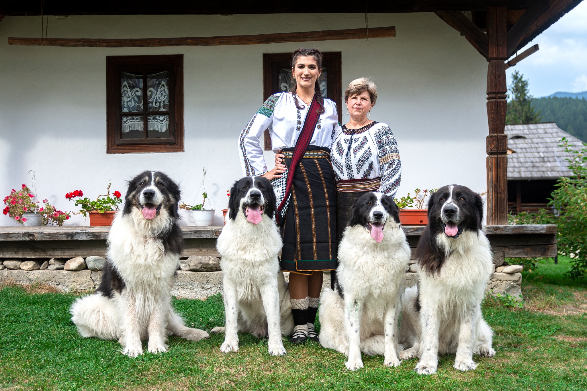 Canotoarea Ancuța Bodnar, ședință foto spectaculoasă în Munții Rarău. Dubla medaliată la JO 2024 apare alături de 4 câini ciobănești