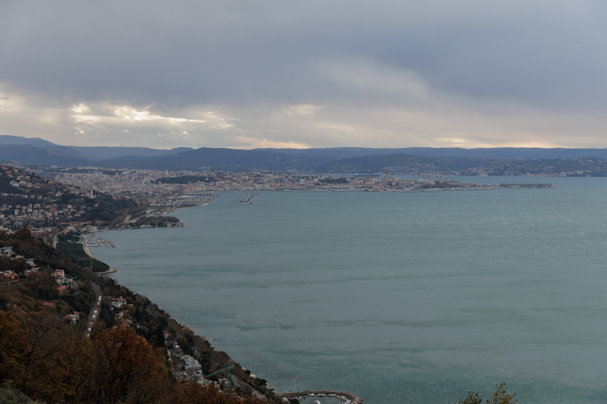 Povestea tinerei care a plecat în Italia la 15 ani din Gherţa Mare şi a ajuns antreprenoare, cu patru localuri şi o firmă de construcţii. „Mă simt liberă, am învățat că poți să începi oricând de la zero”