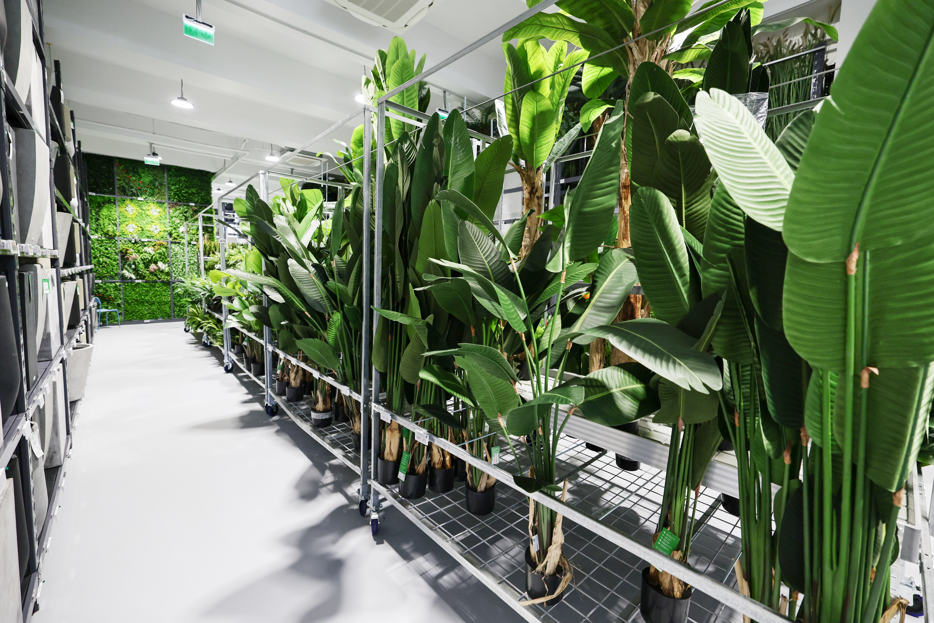 Mall-ul de plante din București are cinci niveluri cu peste 1.200 de soiuri, ghivece inteligente și un mesteacăn artificial care costă cât un apartament