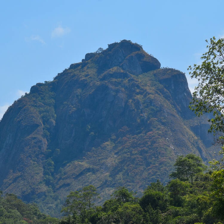 Mount Mulanje Cultural Landscape