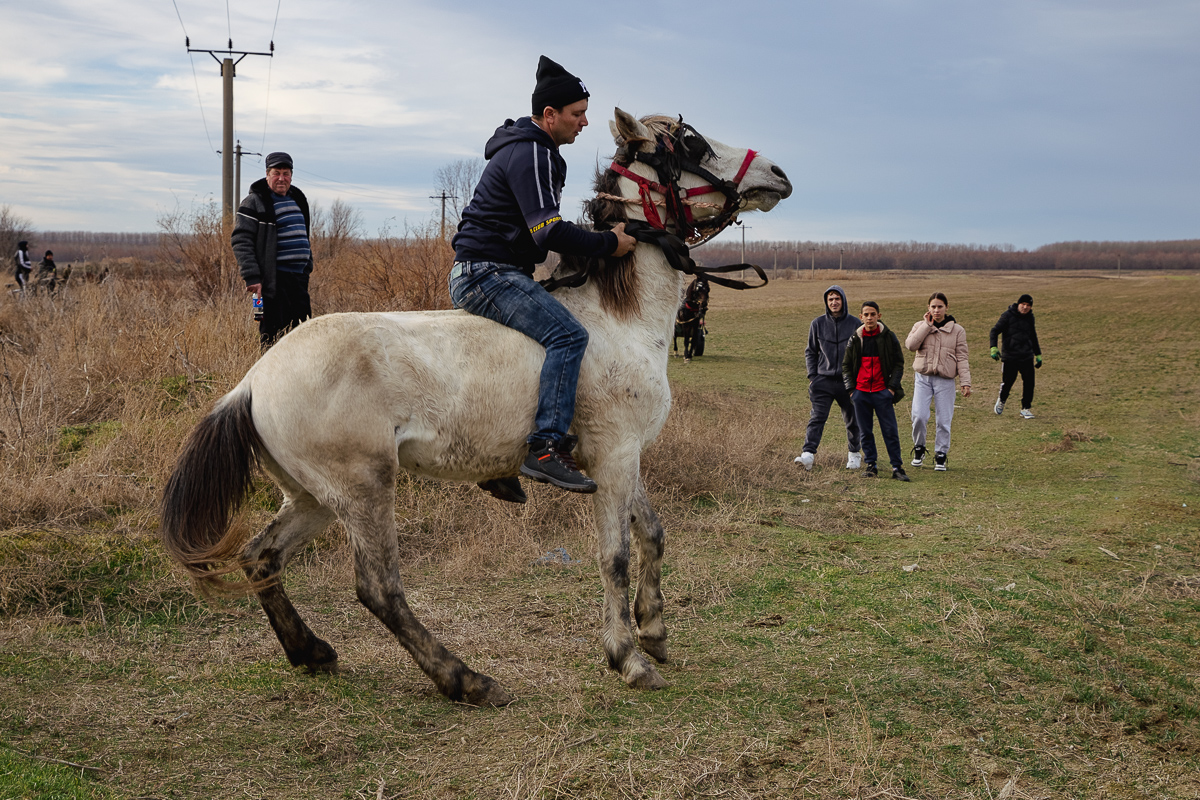 REPORTAJ Boboteaza pe malul Dunării, în comuna Ostrov: procesiune la debarcader, concurs de prins crucea și curse de cai