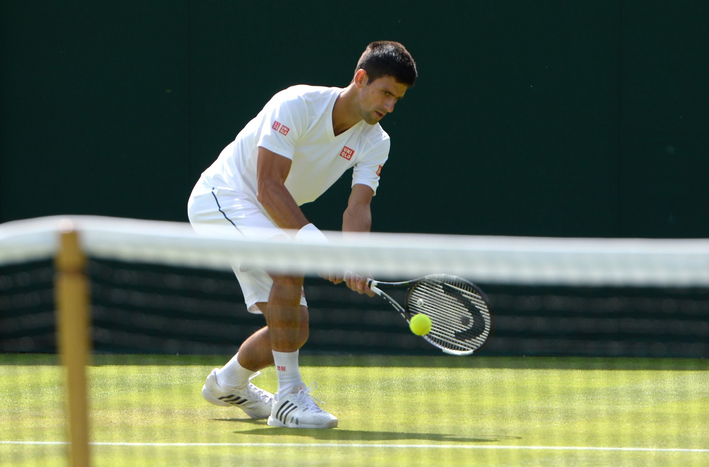 O vrăbiuță a scăpat de ochii ageri ai vulturului care veghează asupra Wimbledonului / GALERIE FOTO
