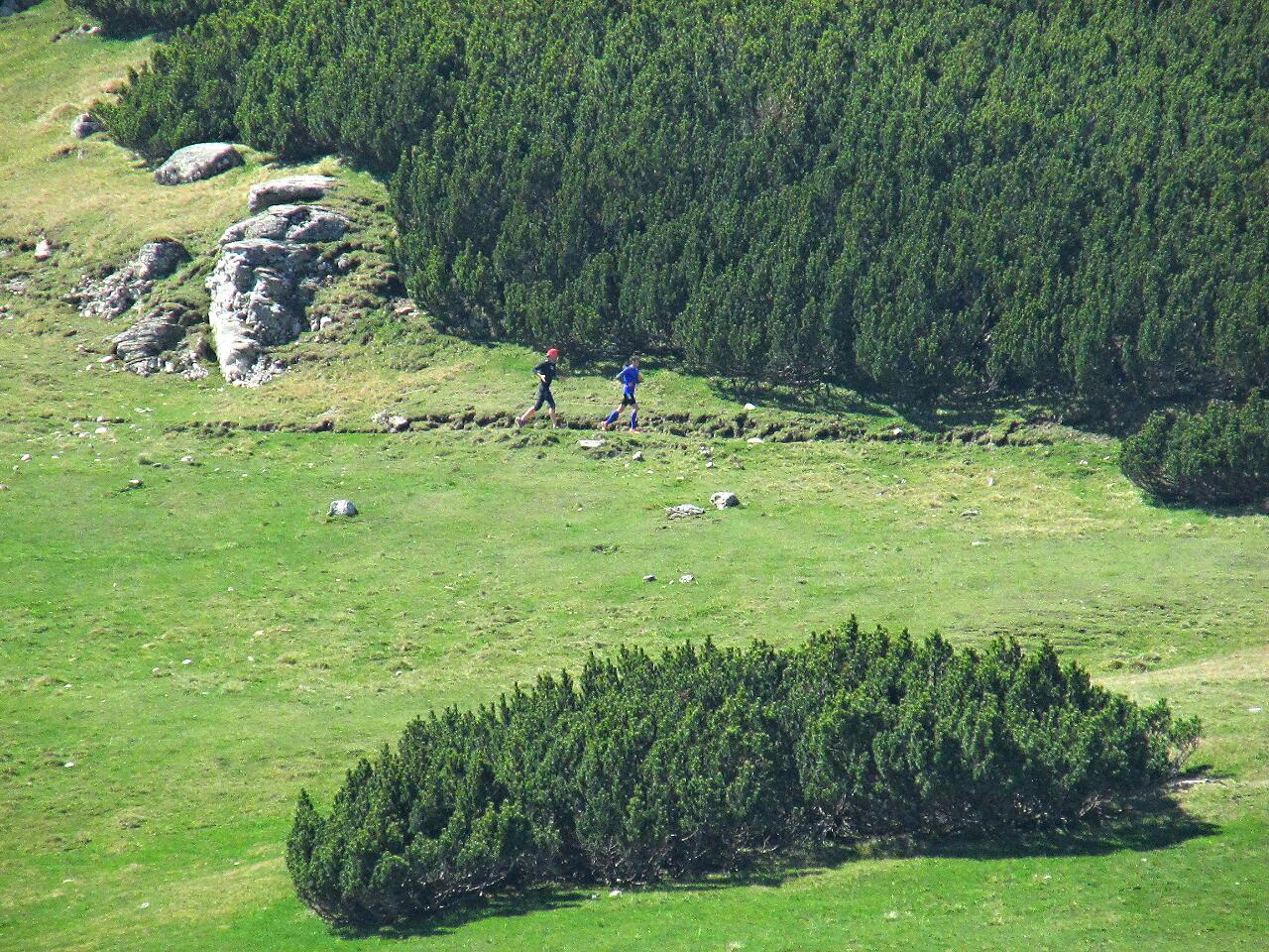 Zi nebună la Piatra Arsă, în Bucegi! Atleții au fost alergați de un urs imens! / GALERIE FOTO