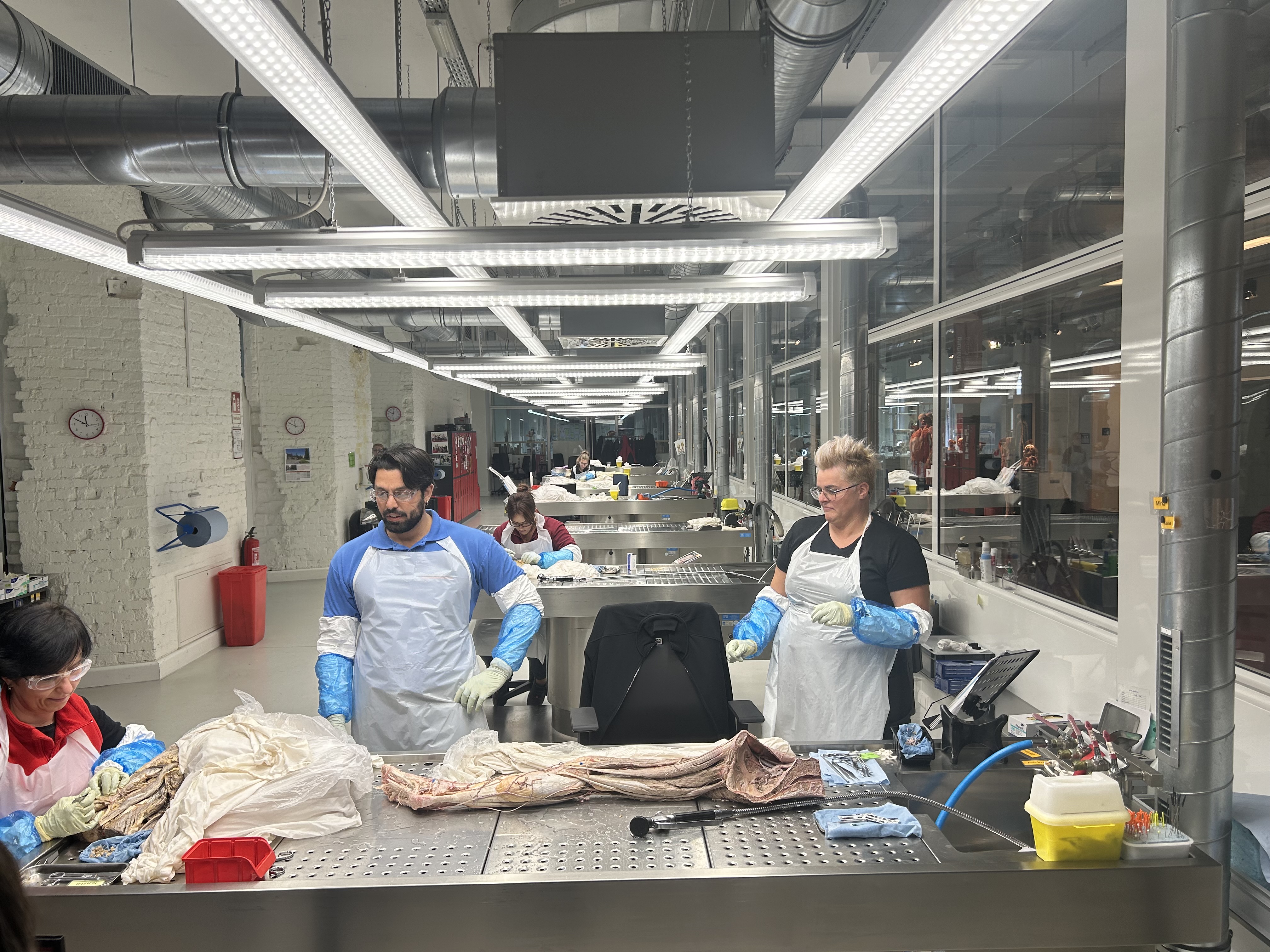 Tulburătoarea expoziție de „plastinate” organizată la București: „De fapt, totul este despre viață, nu despre moarte” | Interviu
